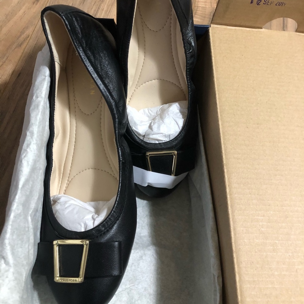 Cole Haan ballet shoes (size 7)
